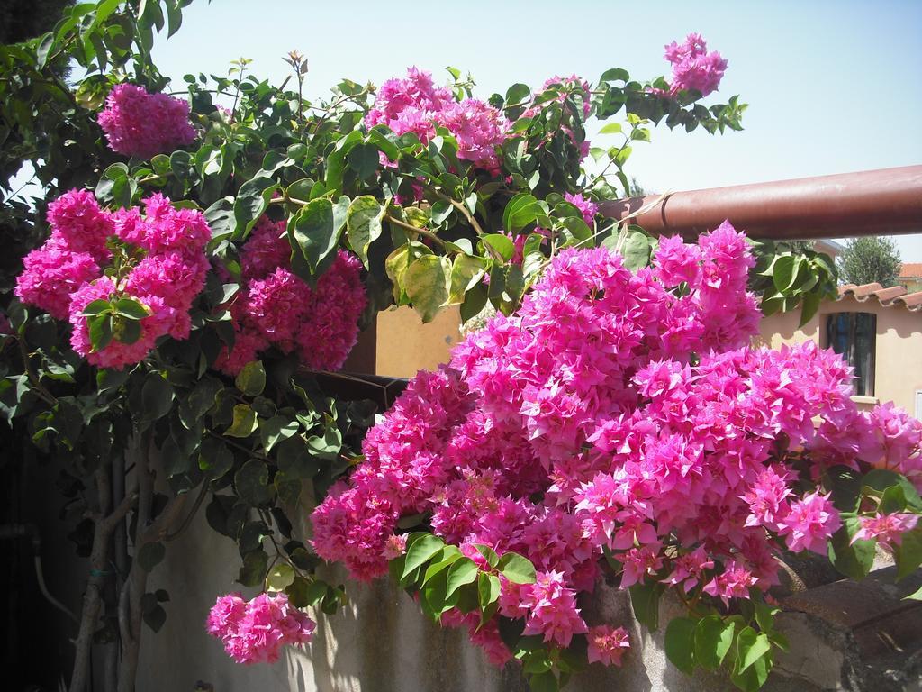 B&B Hibiscus Capoterra Kültér fotó